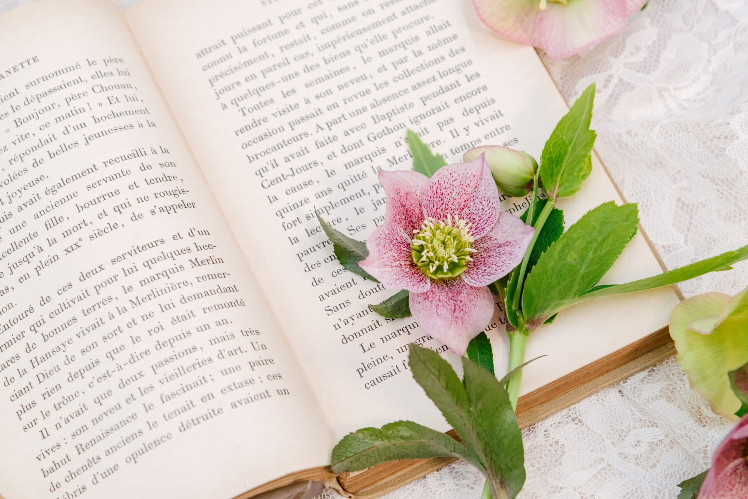 相続手続きの依頼－相続考７